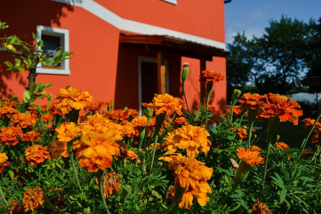 Agriturismo Ca' La Pergola Lugagnano Exteriör bild