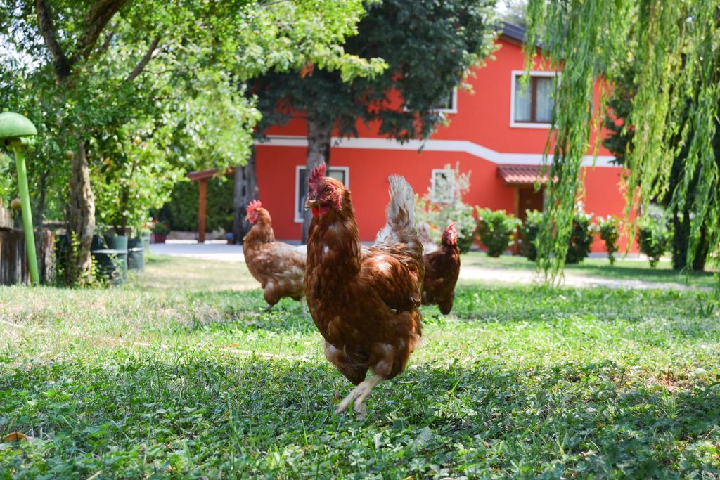 Agriturismo Ca' La Pergola Lugagnano Exteriör bild
